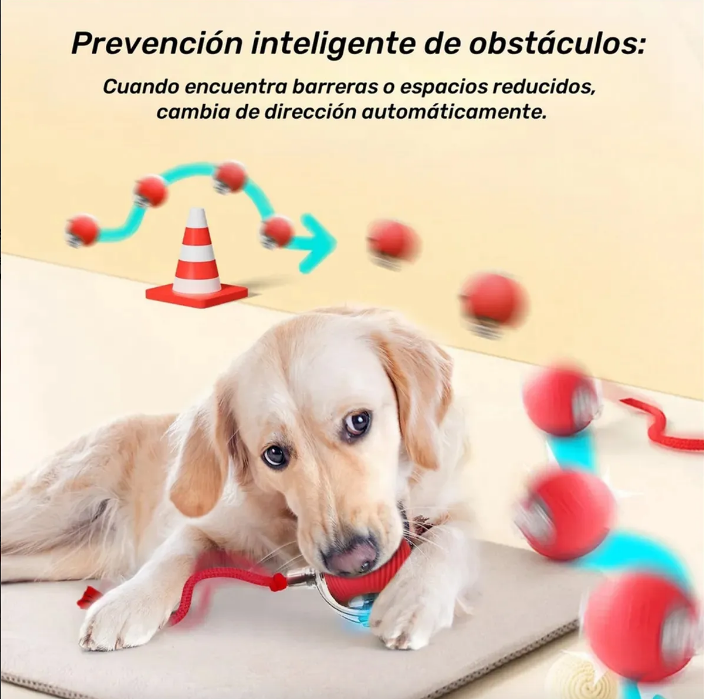 PELOTA INTERACTIVA + OBSEQUIO CEPILLO PARA MASCOTAS