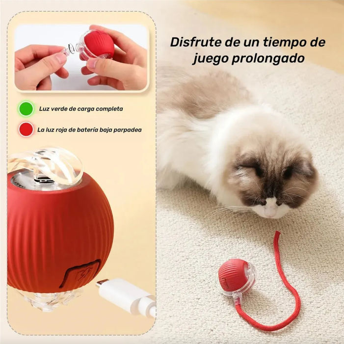 PELOTA INTERACTIVA + OBSEQUIO CEPILLO PARA MASCOTAS