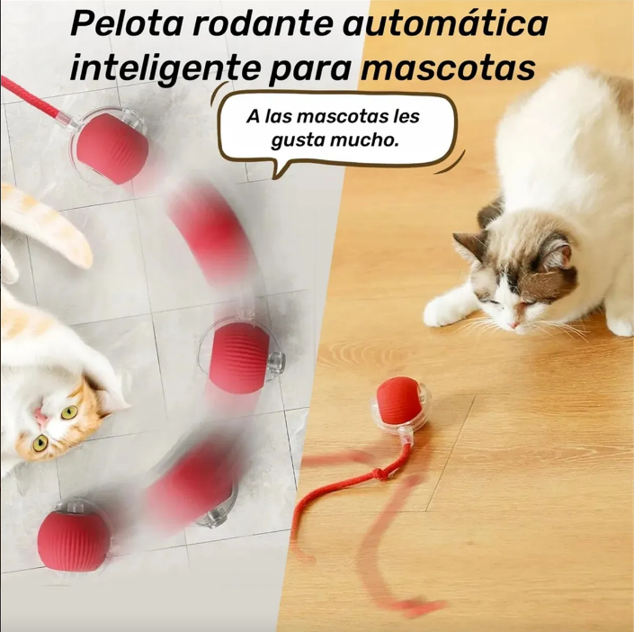 PELOTA INTERACTIVA  + OBSEQUIO CEPILLO PARA MASCOTAS