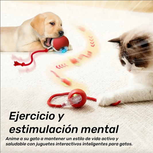 PELOTA INTERACTIVA  + OBSEQUIO CEPILLO PARA MASCOTAS